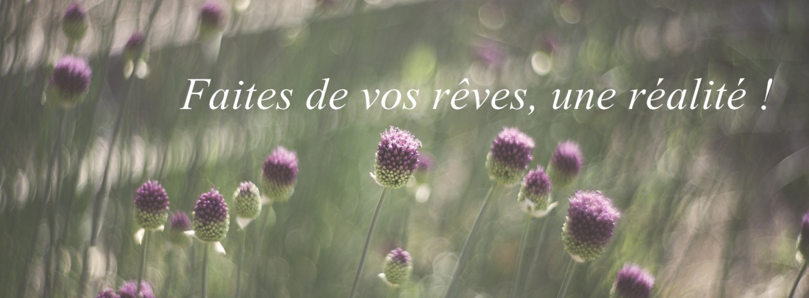jardins-arduinna-accueil-fleurs.jpg